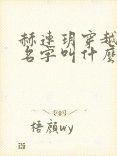 赫连玥穿越小说名字叫什么