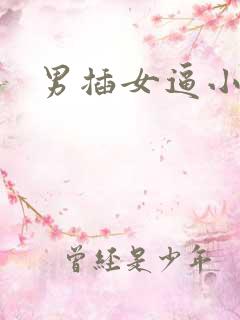 男插女逼小说