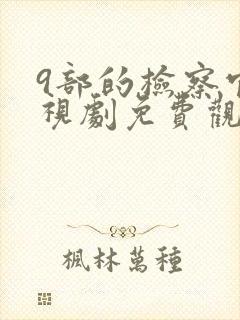 9部的检察官电视剧免费观看