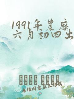 1991年农历六月初四出生人八字算命