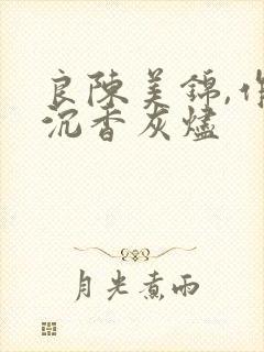 良陈美锦,作者沉香灰烬