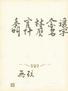 秦宵林念遥小说叫什么名字