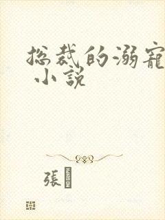 总裁的溺宠甜妻 小说