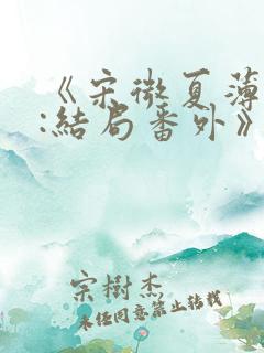 《宋微夏薄以宸:结局番外》