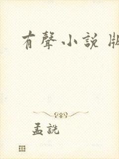 有声小说 版权