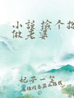 小说 捡个总裁做老婆