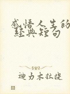 感悟人生的句子 经典短句