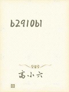 b2910bl