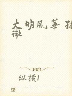 大明风华 孙若微