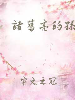 诸葛亮的孙子