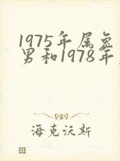 1975年属兔男和1978年属马女婚姻
