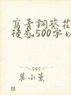 写青铜葵花的读后感500字以上