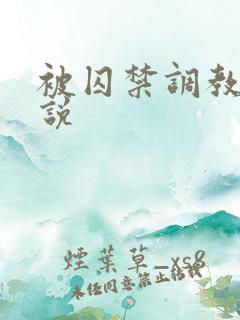 被囚禁调教的小说