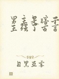 男主是瞎子被女主强了古言