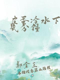 皮蛋冷水下锅煮几分钟