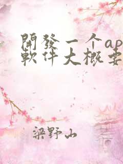 开发一个app软件大概要多少钱
