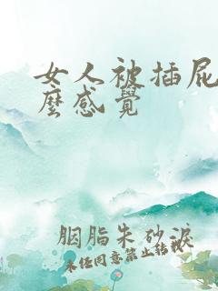 女人被插屁眼什么感觉