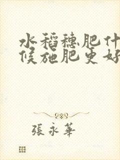 水稻穗肥什么时候施肥更好