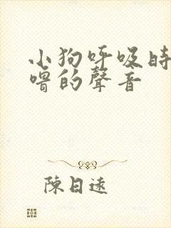 小狗呼吸时有呼噜的声音