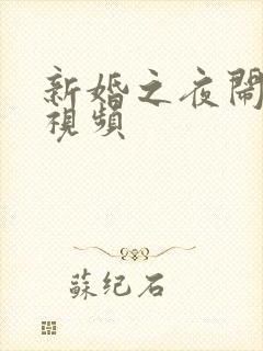 新婚之夜闹洞房视频