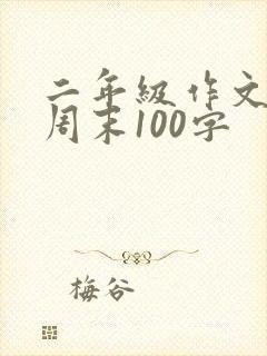 二年级作文我的周末100字
