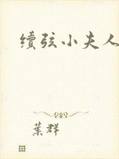 续弦小夫人春喜