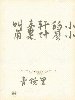 叫秦轩的小说主角是什么小说