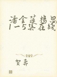潘金莲杨思敏版1一5集在线观看
