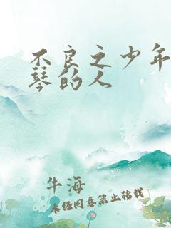 不良之少年王抚琴的人