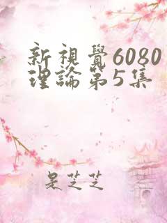 新视觉6080理论第5集