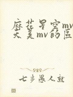 麻花星空mv和天美mv的区别