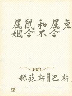 属鼠和属兔的婚姻合不合