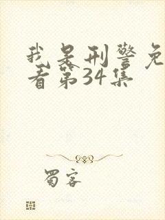 我是刑警免费观看第34集