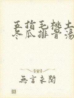 五指毛桃土茯苓冬瓜排骨汤
