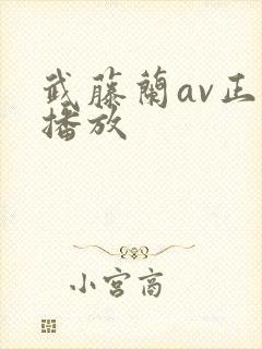 武藤兰av正在播放