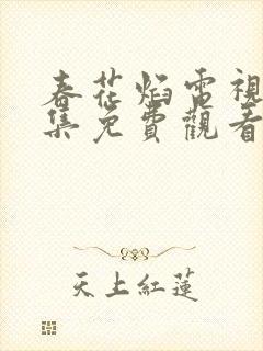 春花焰电视剧全集免费观看完整版在线观看
