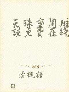 天珠变周维清小说免费在线听书