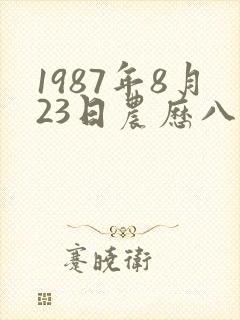 1987年8月23日农历八字