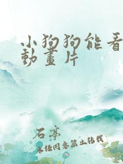 小狗狗能看懂的动画片