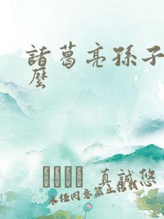 诸葛亮孙子叫什么