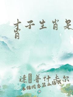 才子生肖是哪几肖