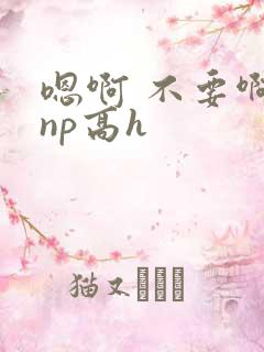 嗯啊 不要啊 np高h