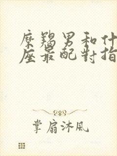 摩羯男和什么星座最配对指数