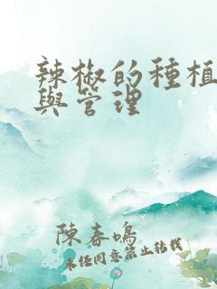 辣椒的种植技术与管理
