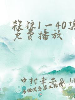 杀狼1一40集免费播放