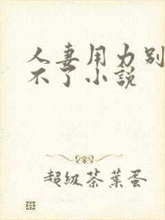 人妻用力别停受不了小说