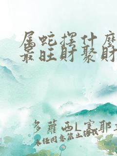 属蛇摆什么摆件最旺财聚财