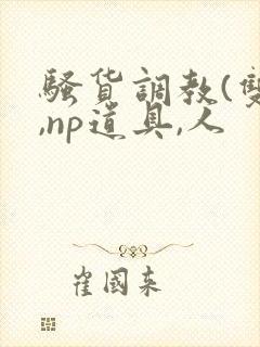 骚货调教(双性,np道具,人