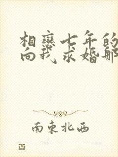 相恋七年的男友向我求婚那天 相恋七年的男友向我求婚那天
