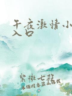 午夜激情小视频入口